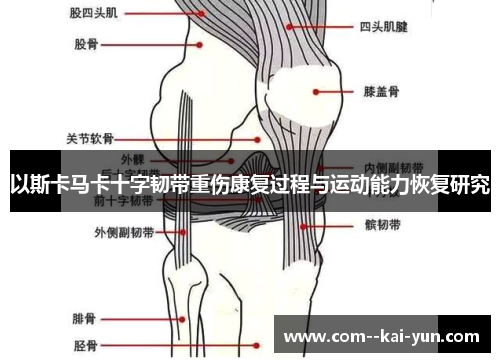以斯卡马卡十字韧带重伤康复过程与运动能力恢复研究 以斯卡马卡十字韧带重伤康复过程与运动能力恢复研究