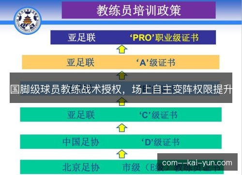 国脚级球员教练战术授权,场上自主变阵权限提升 国脚级球员教练战术授权,场上自主变阵权限提升