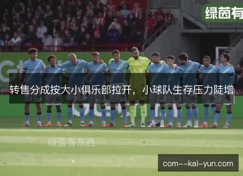 转售分成按大小俱乐部拉开，小球队生存压力陡增